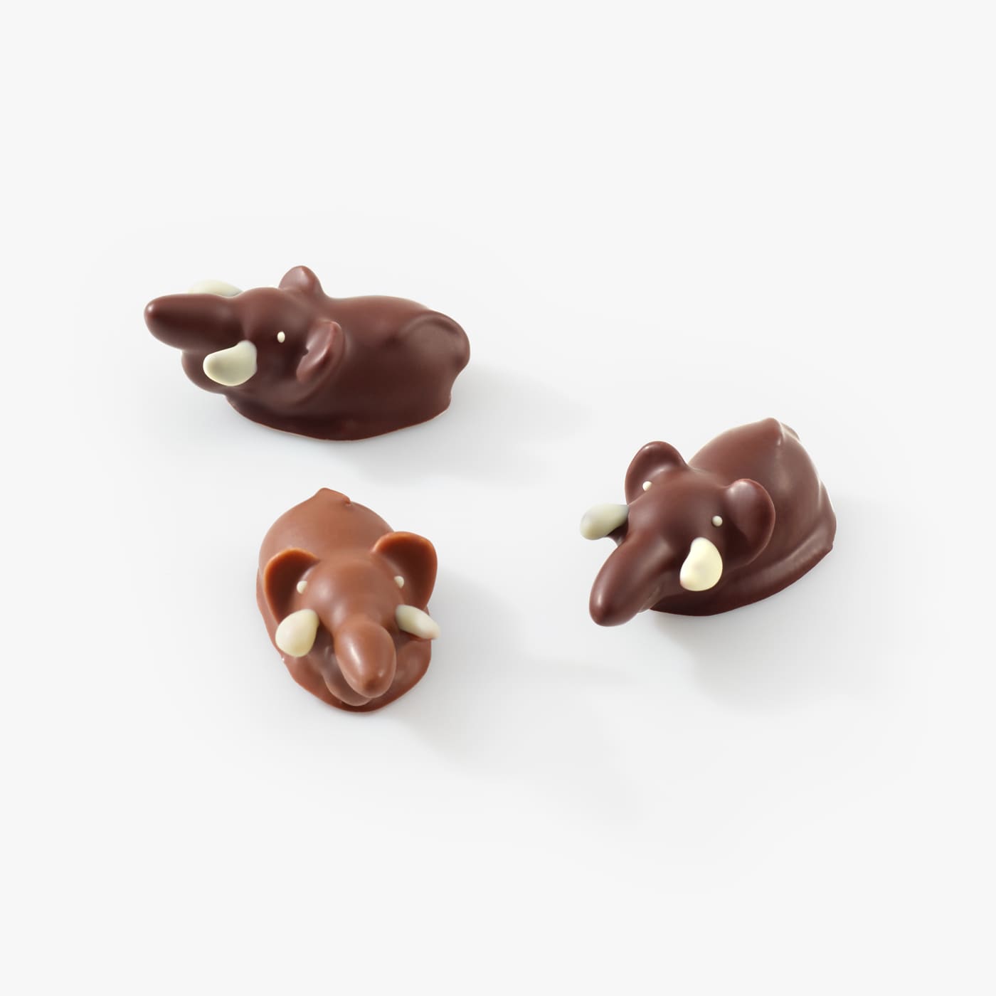 Chocolate Elephants